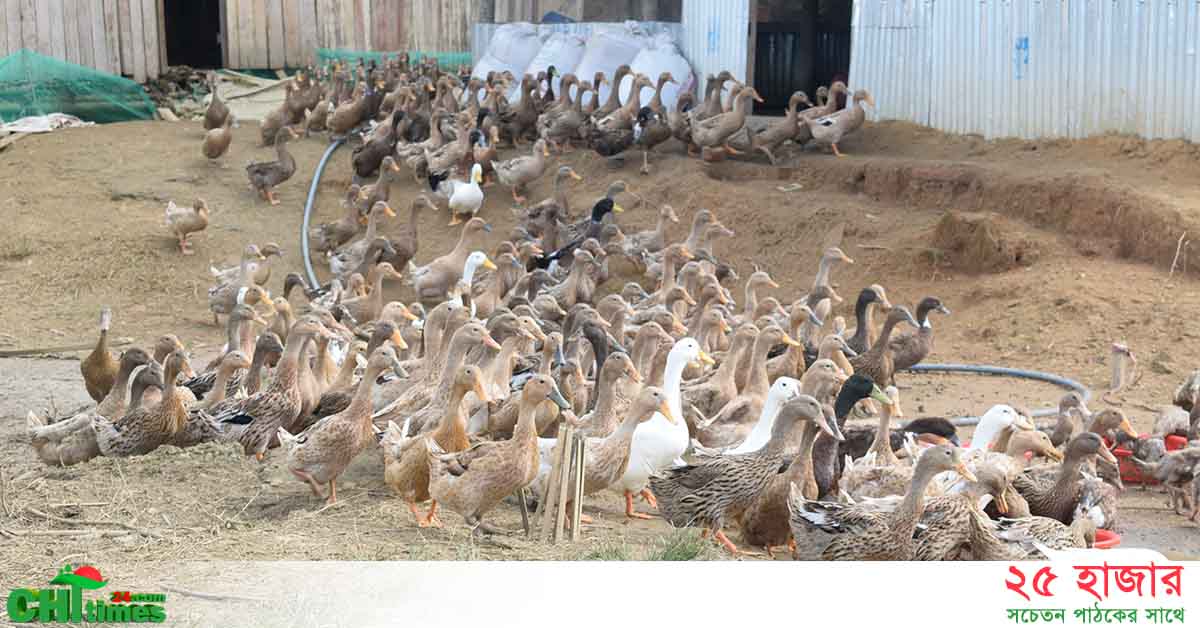 বড় স্বপ্ন নিয়ে এগিয়ে যাচ্ছে জুরাছড়ির রাইজিং এগ্রো ফার্ম