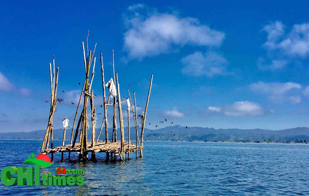 রাঙামাটিতে ঝাকে ঝাকে অতিথি পাখির আগমন