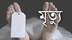 থানচিতে গাছ থেকে পড়ে কাঠুরিয়ার মৃত্যু