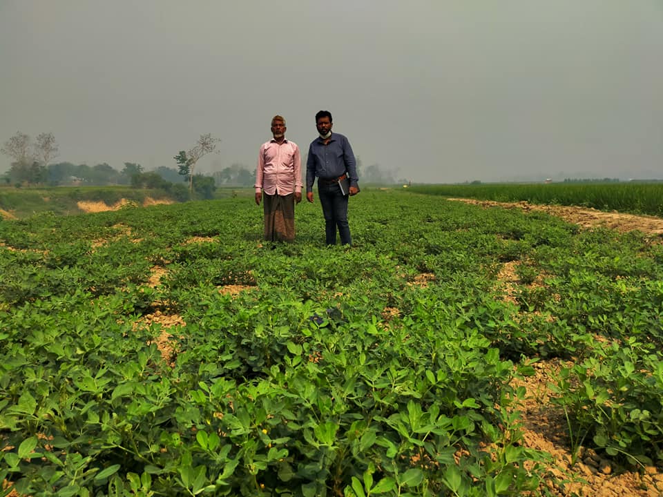 রাঙামাটির বাঘাইছড়িতে সফল বাদাম চাষী ইব্রাহিম সওদাগর