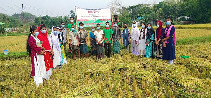 কৃষকের ধান কাটায় পাশে দাঁড়িয়েছে জীবন