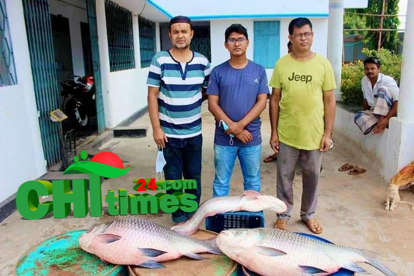 বিএফডিসির অভিযানে ডিমওয়ালা কাতল ও বোয়াল মাছ জব্দ!