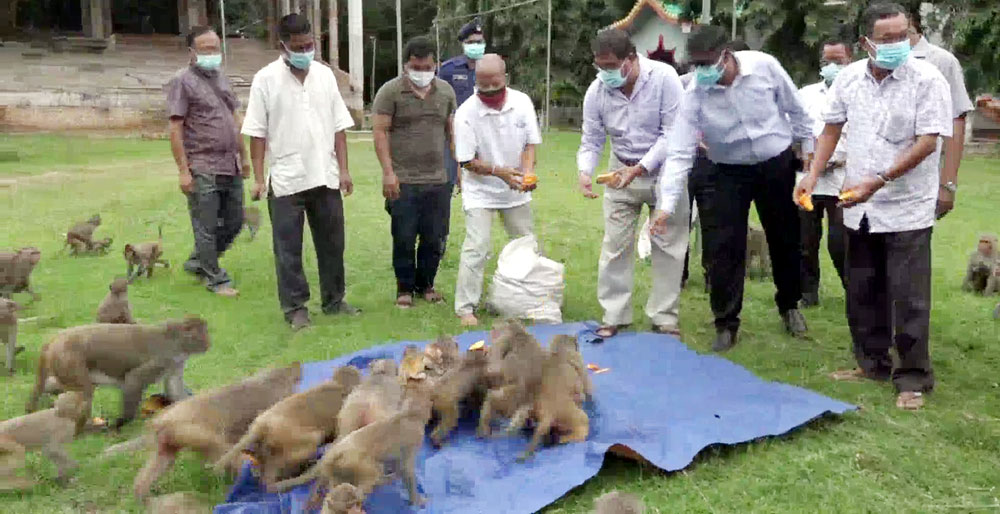 রাঙামাটিতে ক্ষুধার্ত হাজারো বন্য বানরকে খাদ্য দিলেন জেলা প্রশাসক