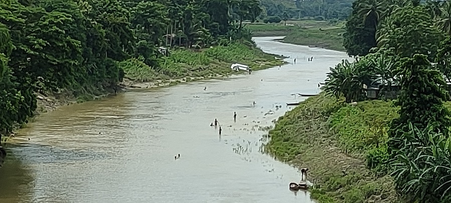 বাঘাইছড়িতে অবাদে চলছে মা মাছ শিকার!