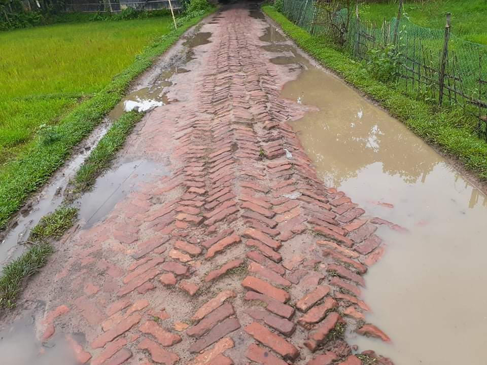 বাঙালহালিয়া হেডম্যান পাড়া সড়কের বেহাল দশা!