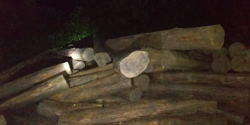 রাজস্থলীতে সেনাবাহিনীর অভিযানে অবৈধ কাঠ জব্দ!