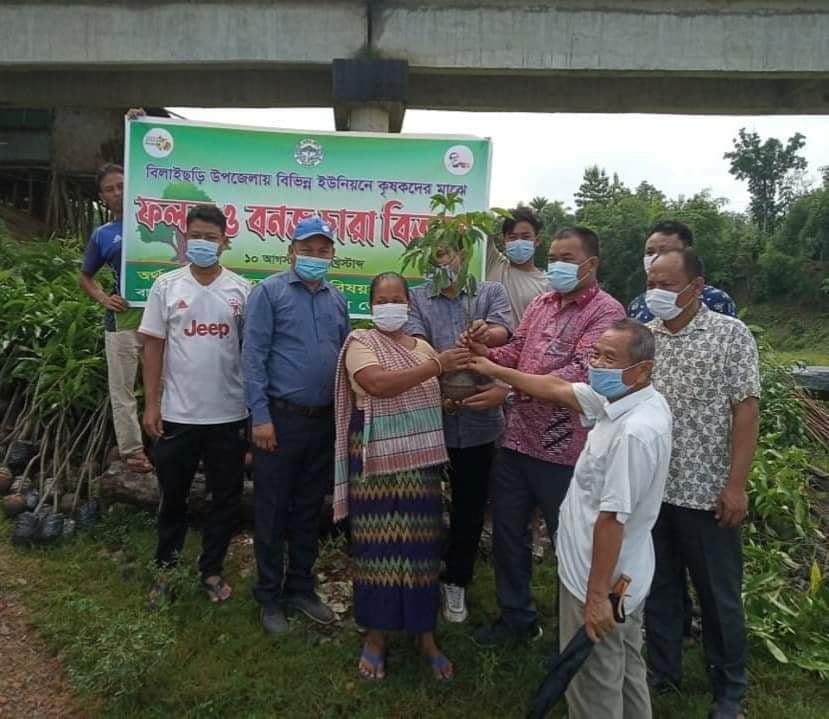 বিলাইছড়িতে দুই হাজার চারা বিতরণ
