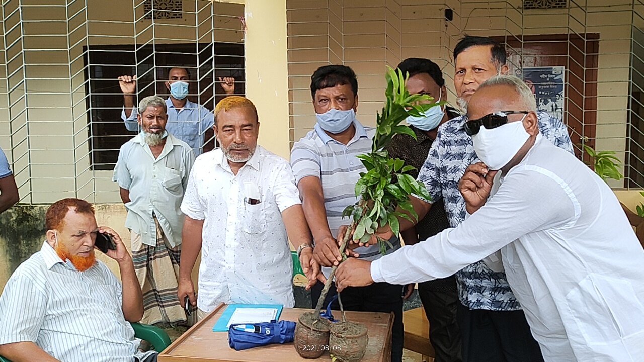 বাঘাইছড়িতে বিভিন্ন প্রতিষ্ঠানে জেলা পরিষদের ৭,০০০ ফলজ চারা বিতরণ