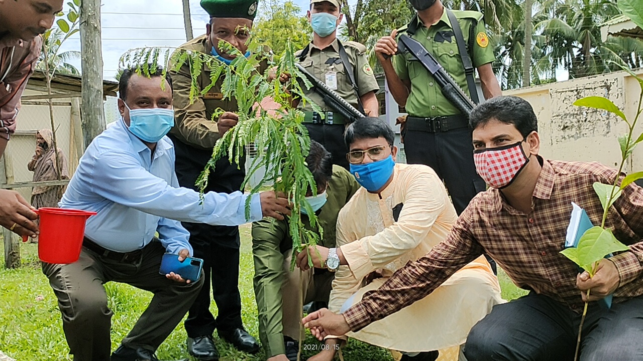 বাঘাইছড়িতে বনবিভাগের উদ্যোগে ২৭ হাজার ৫০০ গাছের চারা বিতরণ