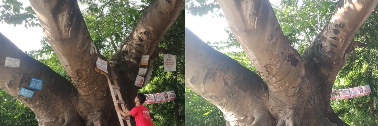 গাছে গাছে লাগানো ব্যনার ফেস্টুন অপসারণ অভিযানে স্বপ্নবুনন 