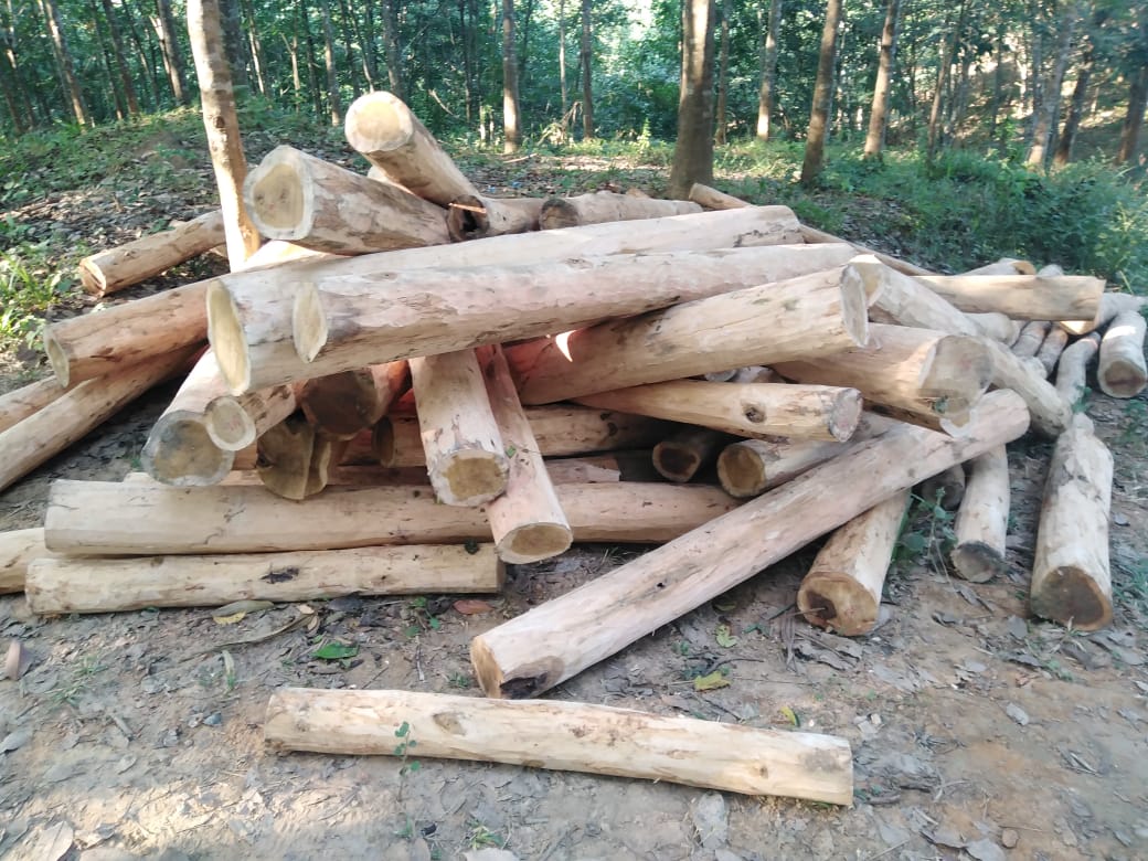 সেনাবাহিনীর ঝটিকা অভিযানে অবৈধ গোল কাঠ জব্দ!
