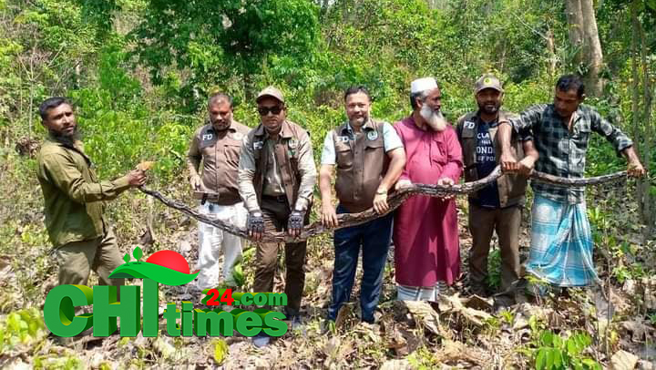 কাপ্তাই জাতীয় উদ্যানে ১৫ ফুট অজগর সাপ অবমুক্ত