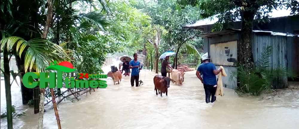 পাহাড়ি ঢলে বাঘাইছড়ির নিম্নাঞ্চল প্লাবিত