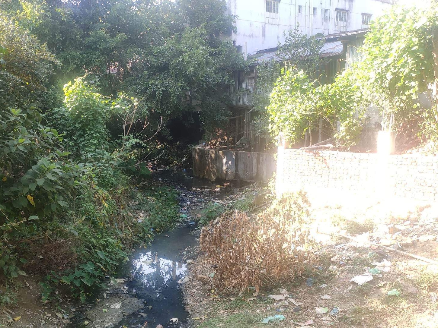 ঝুঁকির মুখে বড়ইছড়ি সরকারি প্রাথমিক বিদ্যালয়