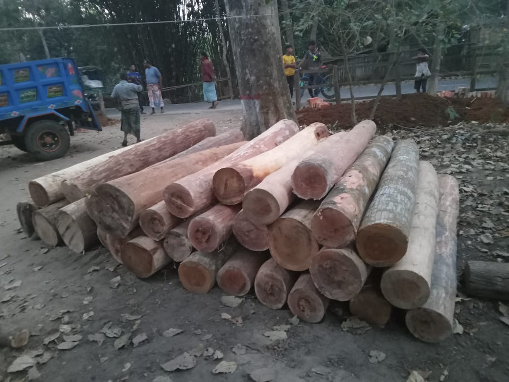 রাজস্থলী শারজা হাসপাতাল এলাকা হতে একটি অবৈধ লালি কাঠ ভর্তি জিপগাড়ি জব্দ 