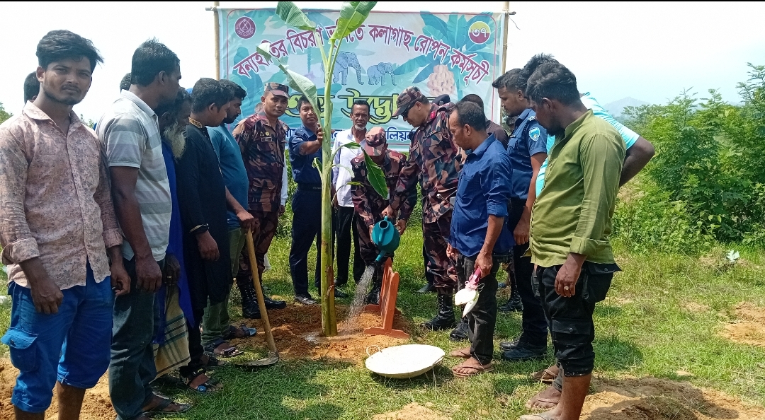 পশুর খাদ্য পূরণে রাজনগর ৩৭ বিজিবির ভিন্ন ধরনের কার্যক্রম