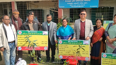 বাঘাইছড়িতে ১৫৬ পরিবারের মাঝে ফলজ ও সবজি চারা বিতরণ