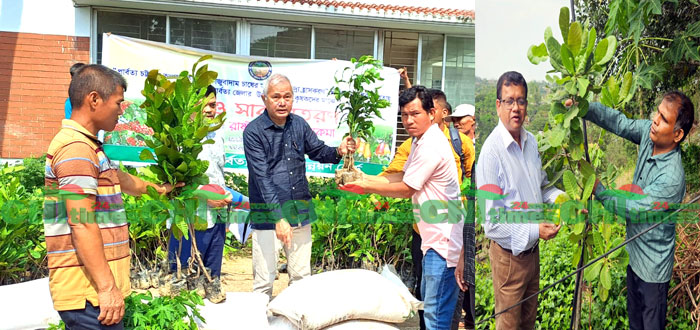পাহাড়বাসীকে অর্থনৈতিক মুক্তির পথ দেখাচ্ছে কফি ও কাজুবাদাম
