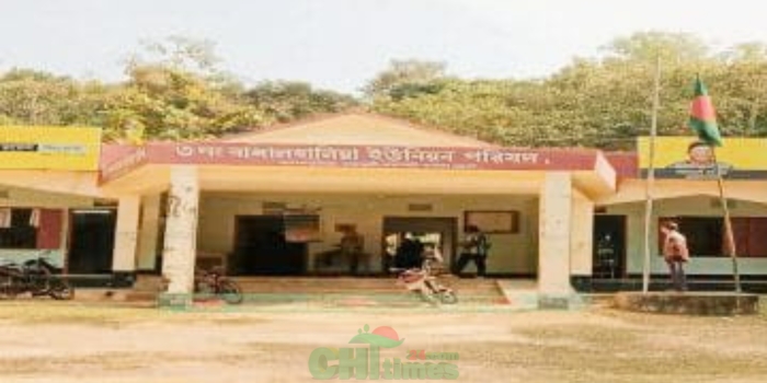 বাঙ্গালহালিয়ায় প্যানেল চেয়ারম্যান মিলন নির্বাচিত