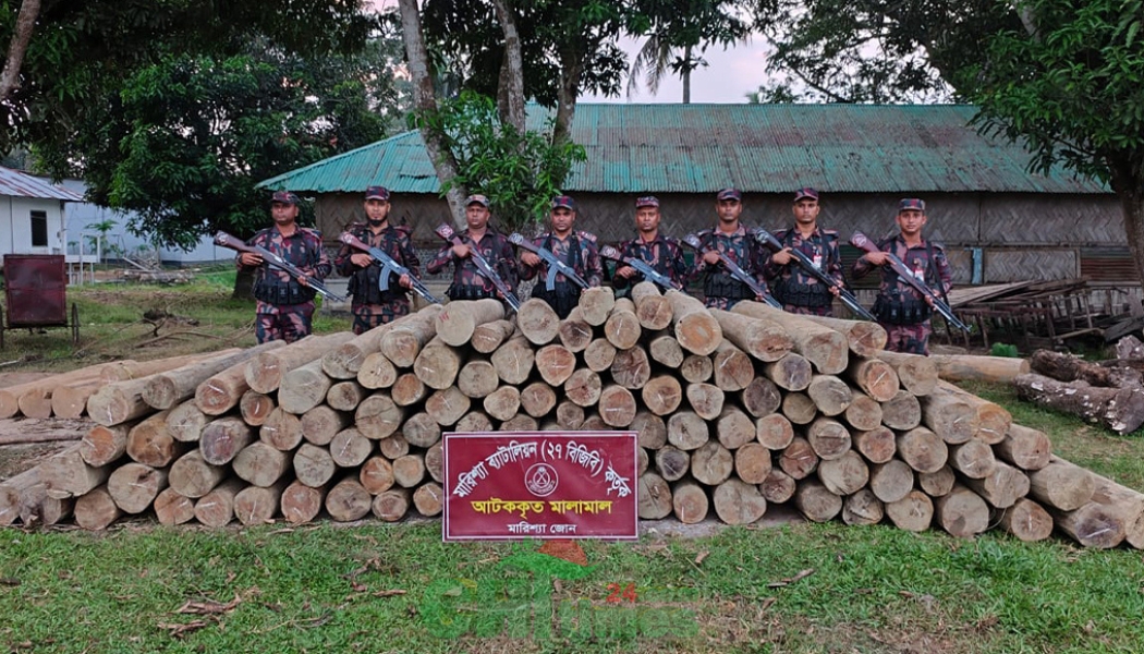 বিজিবির হানা, মিলল তিন লক্ষ টাকার সেগুন কাঠ
