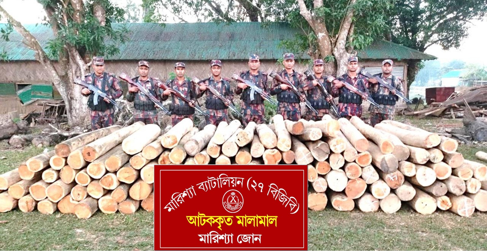 বিজিবির অভিযানে বিপুল পরিমাণ অবৈধ সেগুন কাঠ জব্দ